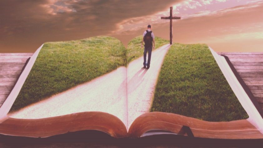 Luminal Abuse FacilitiesMadelia MN